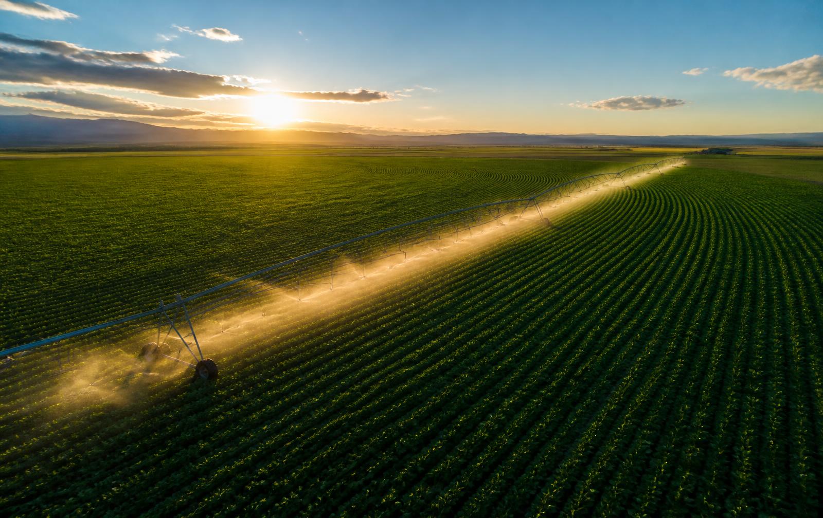 Sistema de irrigação por pivô central em lavoura ao amanhecer